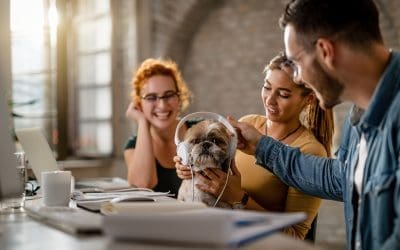 Pets at Work – the unexpected investment that delivers results